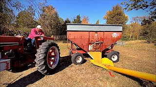 Harvest Time  Between Corn and Beans