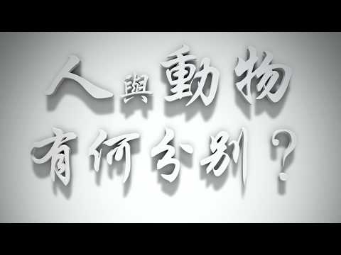 ＃人與動物有何分別❓（耶穌是誰要理問答 第001問）