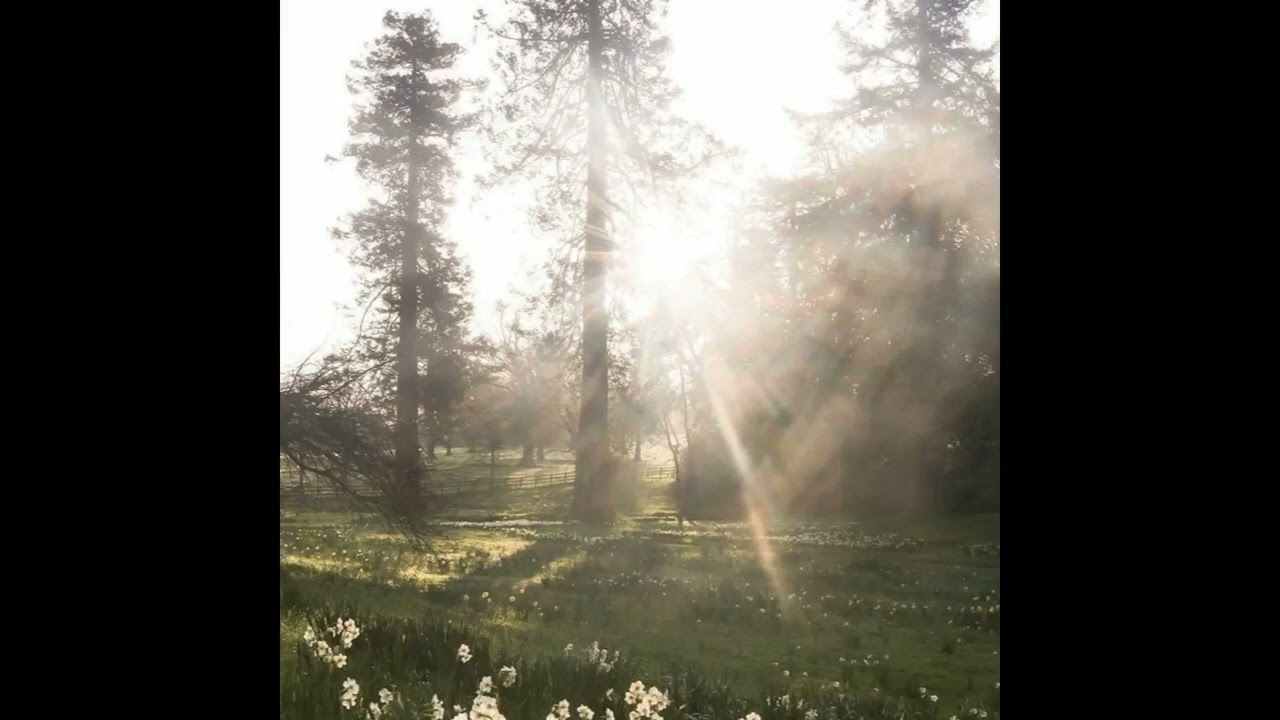 raw indie acoustic type beat - 