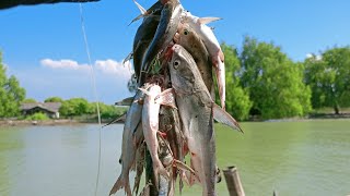 MANCING DI KALI CITARUM!!! FULL STRIKE!!! DAPET IKAN SATU RENCENG... Muara Bendera