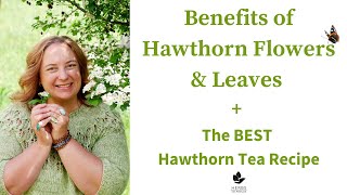 Medicinal Flowers | Benefits of Hawthorn Flowers + Hawthorn Tea Recipe