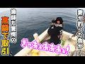 妻が釣った自己記録級魚を市場に持って行ったらヤバすぎた…