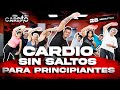 CARDIO SIN SALTOS para PERDER PESO RAPIDO | PRINCIPIANTES | 28 minutos
