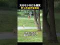 巨大なシカに吠えまくっていた小型犬の末路