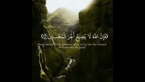 القارىء رعد الكردي سورة يوسف