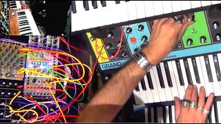 synth jam Behringer MS-5 - 1027 - 1050 sequencer Odyssey Moog Grandmother SR-16