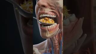 How We Swallow Food | Digestive System 3D Animation 🤯 #shorts