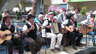 GRUPO ALENTEJANO:RASTOLHICE " DAME  UMA  GOTINHA  D`ÁGUA " chords