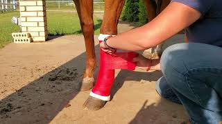How to safely wrap a horses leg