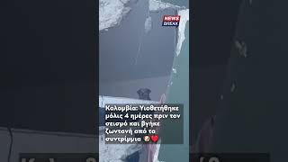 Σκυλίτσα στην Κολομβία περιμένει με υπομονή να διασωθεί