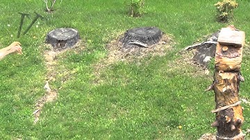 SOG Fast Hawk Tomahawk, Throwing Experience