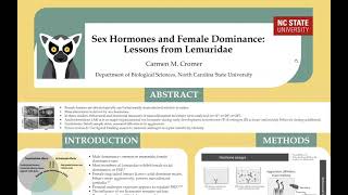 Sex Hormones and Female Dominance: Lessons from Lemuridae