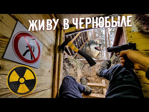 Ремонт дома под землей в Чернобыле. Волки рвутся в землянку. Картошка с грибами в печи