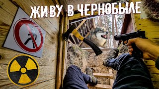 Ремонт Дома Под Землей В Чернобыле. Волки Рвутся В Землянку. Картошка С Грибами В Печи