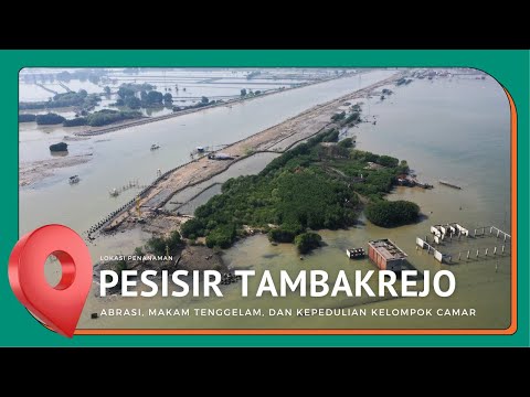 Pesisir Tambakrejo, Kota Semarang: Abrasi, Makam Tenggelam, dan Kepedulian Kelompok CAMAR