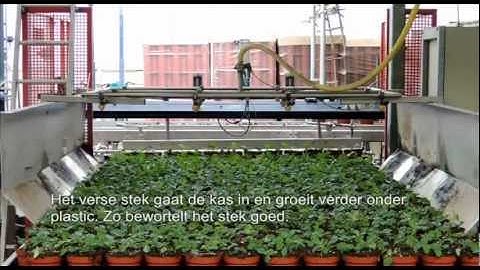 Vireõ - HPD bedrijfsfilm (NL ondertiteling)