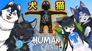 【Human: Fall Flat / コラボ】 パワーアップして帰ってきたイヌネコフォールフラット！🐺🐕🐈🐈 【ちょこみんと さん/まだらめ さん/ハッさん】【津軽弁狛犬Vtuber】
