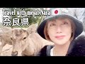 [ Vlog 606 ] December 31,2025 奈良市 | Visiting Nara Japan 