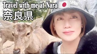 Vlog 606 December 31,2025 奈良市 Visiting Nara Japan