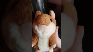 Celebratory Song With Repeating Toy Hamster Video 1