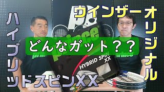 【ウインザーオリジナルガット】ハイブリッドスピンXXをレビュー！