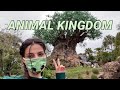 UN DIA EN ANIMAL KINGDOM - VLOG
