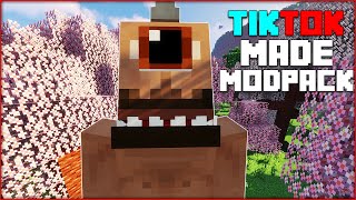 I Let TikTok Make A Minecraft Mod Pack And This Happened