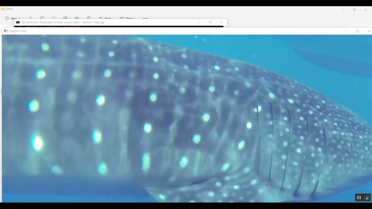 Fast Single Image Defogging With Robust Sky Detection
