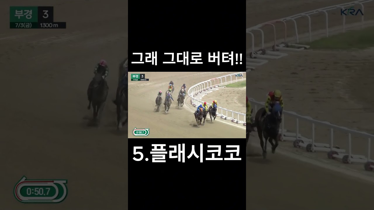 그래 그대로 버텨!!  #경마  #경마예상  #경마방송  #경마예상방송  #서울경마  #금요경마  #토요경마  #일요경마 #경마장