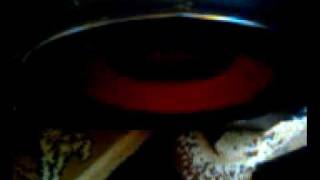 Video0000.avi