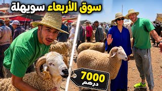 واش الدرويش ميعيدش⁉️😰هاد العام🐑 صدمة كبيرة فثمن لحوالة😱جولة في سوق الأربعاء السويهلة 🇲🇦
