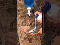 Survival Skills SIMPLE And USEFUL save SOAP and Water in Forest Us #survival #outdoors #camping