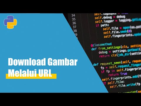 Python Simple Project #1 | Download Gambar Melalui URL