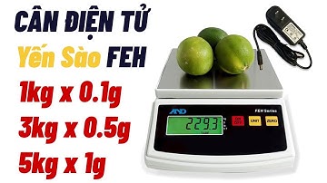 Cân điện tử mini 1kg 3kg 6kg Cân Yến Sào FEH CTP - Cân Toàn Phát