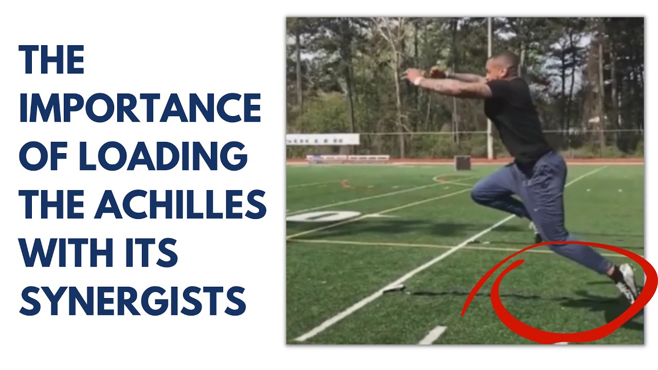 The Importance of Loading The Achilles With Its Synergists