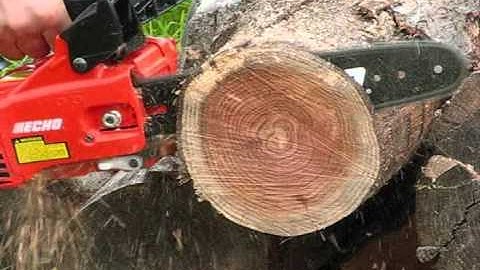 Echo CS-271T Top handle Chainsaw First Run