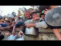 Hunger in Gaza: Banden plündern Hilfslieferungen  | ZIB2 vom 28.11.2024