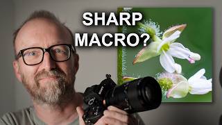 Macro Photography: Get Perfect Sharpness with Focus Bracketing