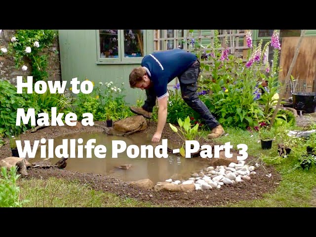 How to Make the Ultimate Wildlife Pond - Part 3 - Planting the Pond class=