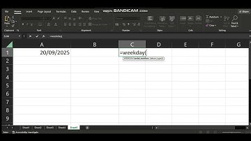 How to use WEEKDAY function on Excel
