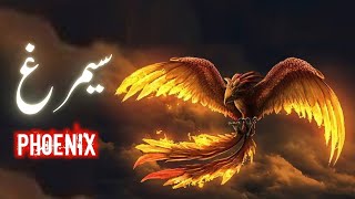 Myth Of Phoenix Bird Phoenix Kya Hai Fire Bird Simurg Reborn From Ashes Amber Voice Urdu