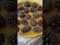 Using pine trees nut and epoxy for table