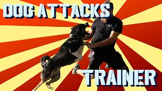Max Attack - Dog Attacks Trainer - German Shepherd - Bernese Mountain - The PackSmith - Aggressive