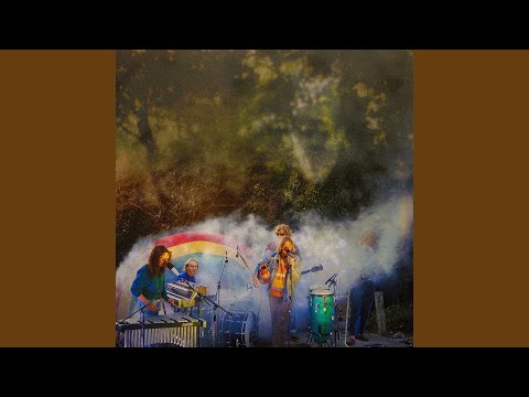 Monkey Disco (Live)