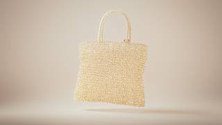 ANTEPRIMA WIREBAG