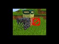 The Rarest Block In MINECRAFT #minecraft
