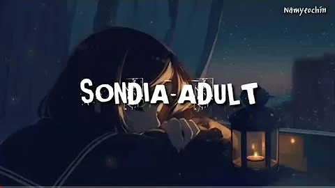 [lyrics]Sondia – Adult / Grown Ups (OST Part 2 My Ahjussi / My Mister) [Hangul + Rom + Terjemahan]