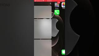 Panda Helper.vip First App Calmed Back