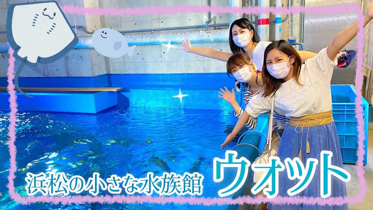 【静岡県/浜松観光】浜松にも水族館が！「ウォット」の裏側！浜名湖の絶品料理も！
