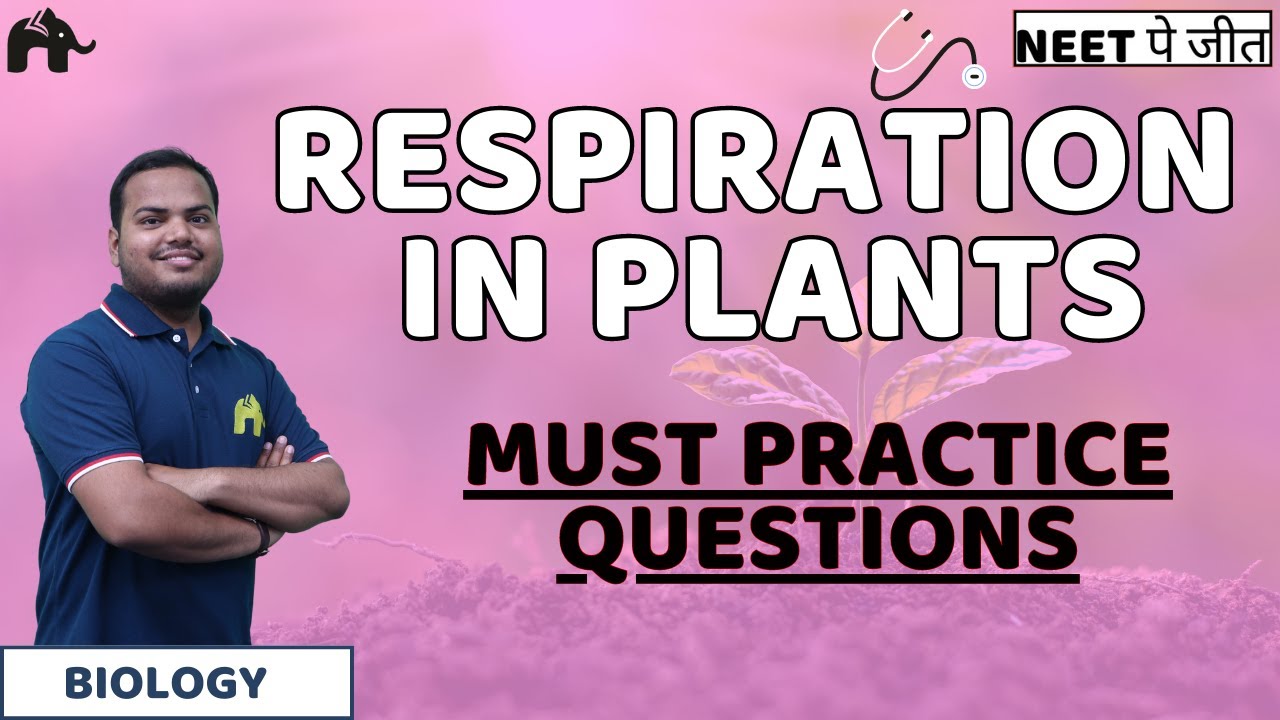 Respiration in Plants Class 11 NEET Must Practice Questions | Biology ...